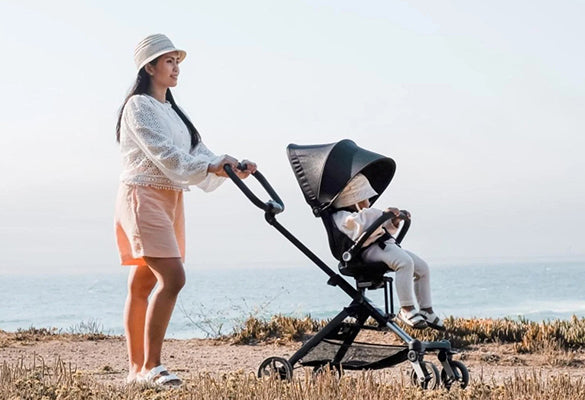 On The Go 2-in-1 Lightweight Stroller